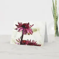 Coneflower Art Card