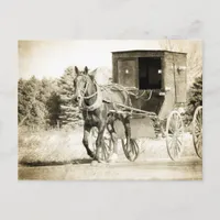 Amish Horse and Buggy Sepia Kalona Iowa Postcard