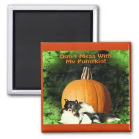 Dog Protecting Large Pumpkin Magnet