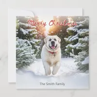 Pyrenean Mastiff Dog Snow Watercolor Christmas Holiday Card