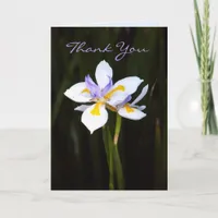 Flower : Dietes Thank You Card