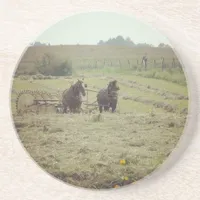 Haying Time Coaster
