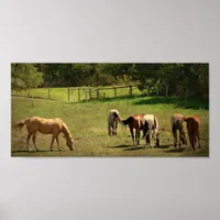 Horse Pasture Poster