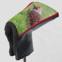 Stunning Northern Flicker Foraging in the Grass Golf Head Cover