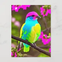 Pink Blue Yellow Green Fantasy Bird Postcard