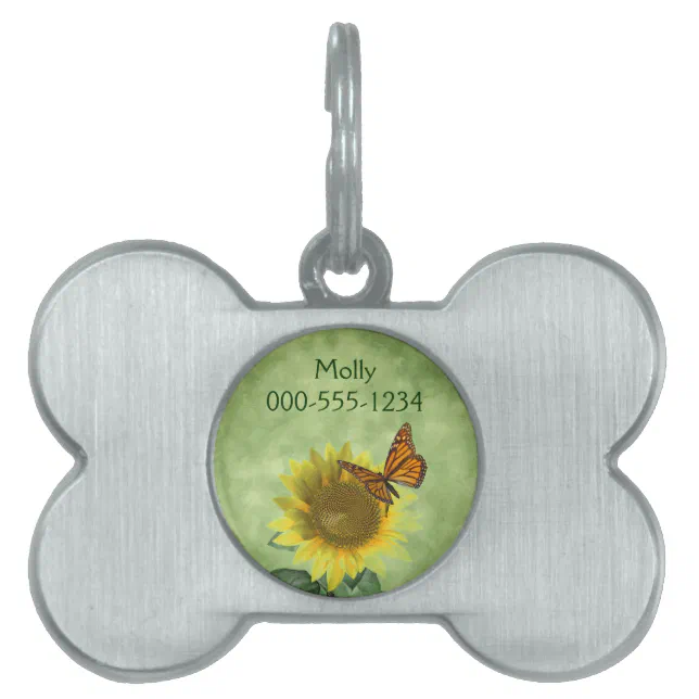 Pretty Yellow Sunflower and Orange Butterfly