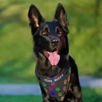 Custom Pet's Name Colorful Paw Prints Dark Grey BG Pet Bandana Collar