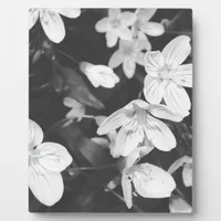 Wildflowers Black and White Plaque