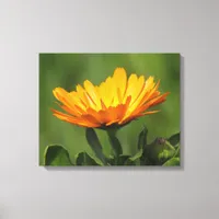 Canvas print - Calendula bloom