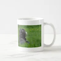 Bernese Mountain Dog Coffee Mug