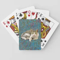 Cute cat on abstract background poker cards