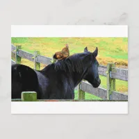 Rooster And Mare Postcard