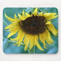 Sunflower 2 mouse pad