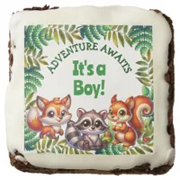 Adventure Awaits It's a Boy Baby Shower Brownie