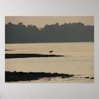 Blue Heron on the Mississippi River at Sunset Poster