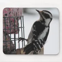 Downy Woodpecker Mouse Pad