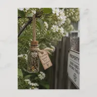 Herbal Protection Bottle in Tree on Property Line Postcard