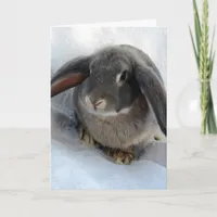 I'm All Ears For You Funny Rabbit Card