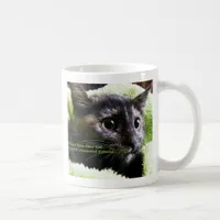 Please Spay Your Cat Prevent Unwanted Kittens Coffee Mug