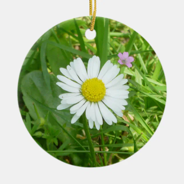 Pretty Little White and Yellow Miniature Daisy Ceramic Ornament