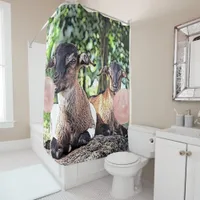Bigger than Life Baby Alpine Goats with Bubblegum Shower Curtain