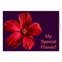 Red Hibiscus Flower