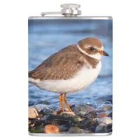 Beautiful Semipalmated Plover at the Beach Hip Flask