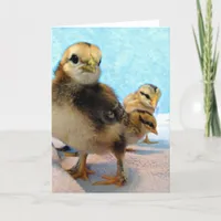 Three Little Chicks Card