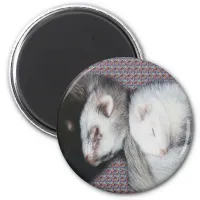 Sweet Dreams Ferrets Magnet