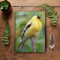 Male American Goldfinch on the Bamboo Notebook