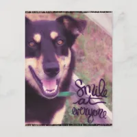 Smile at Everyone Dog Postcard