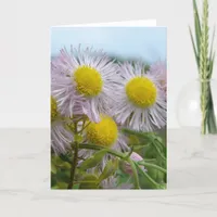 Pretty Pink Card