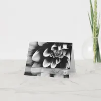 Black and White Dahlia Flower Thank You