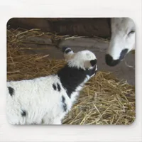 Funny Face's Lamb Mouse Pad