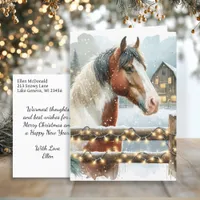 Brown and White Horse Country Christmas   Postcard