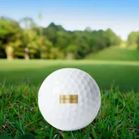 Business company logo golf balls