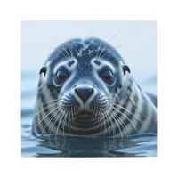 Cute Seal Close up Metal Print