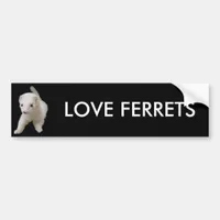 White Baby Ferret Bumper Sticker