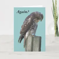 Card - Greeting - Falcon belated