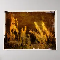 Autumn Grasses Poster
