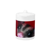 Sugar Glider in Orange Hanging Bed Teapot