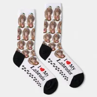 I Love My Labrador Chocolate Lab Dog Pet Photo Socks