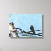 Double Vision Canvas Print