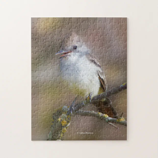 Smiling Ash-Throated Flycatcher on Hawthorn Branch Jigsaw Puzzle