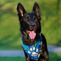 Blue and Orange Fluid Art Personalized Pet Bandana Collar