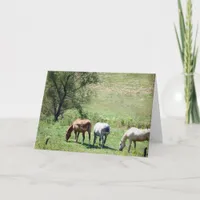 Horse Pasture Card