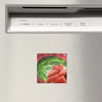 Watermelon Magnet