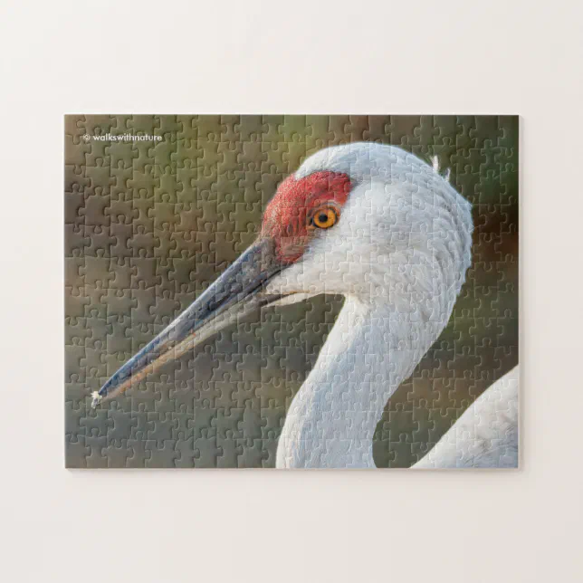 Elegant Profile of a Greater Sandhill Crane Jigsaw Puzzle