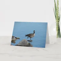 Canada Goose Card