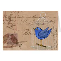 Birds and Ephemera